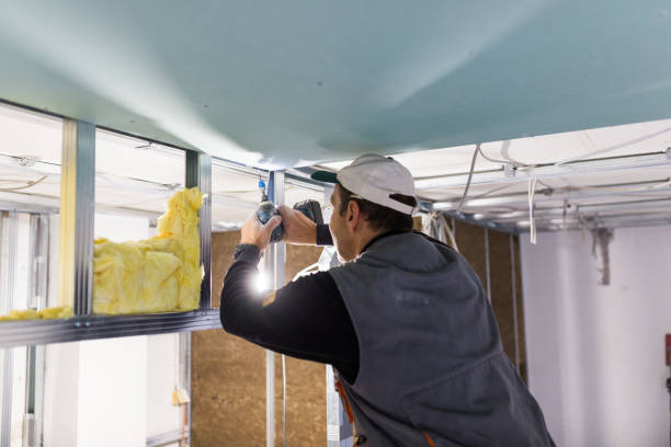 Best Insulation Maintenance and Repair in Laurel Hill, NC